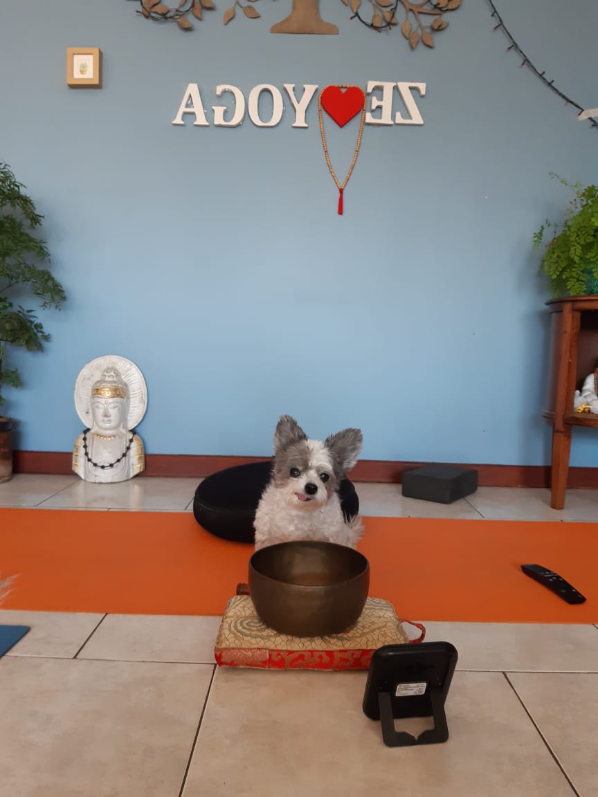 WhatsApp Image 2020-05-18 at 19.11.43.jpeg