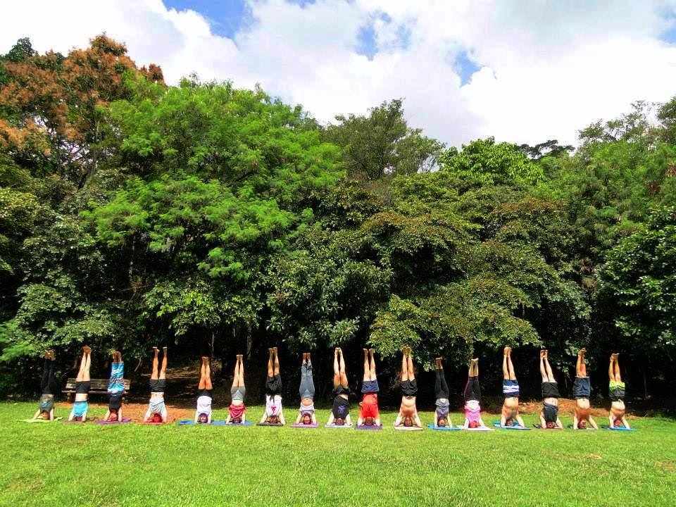 ZeYoga_Yoga_no_Parque5.jpg